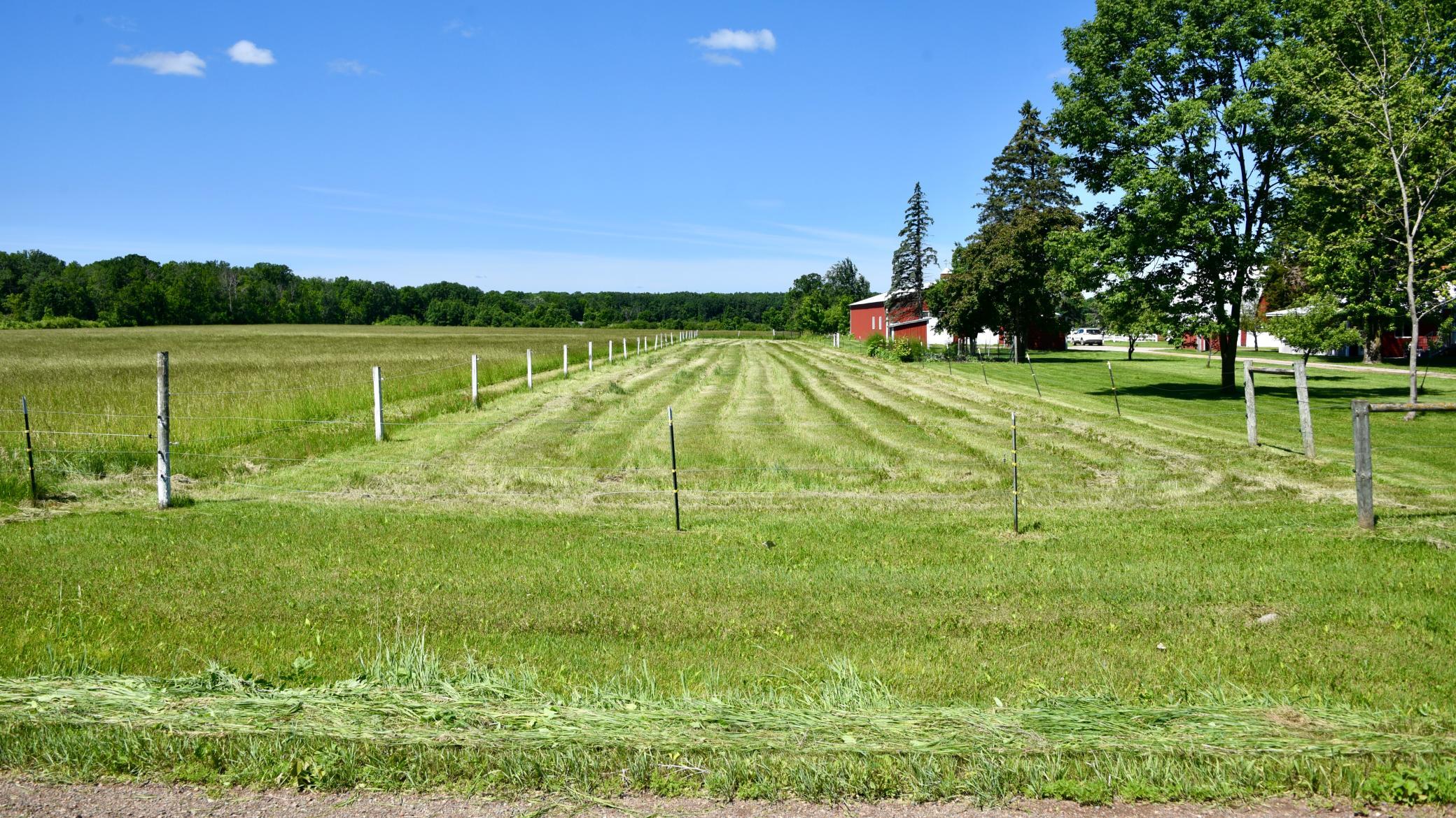 DSC_4017.JPG