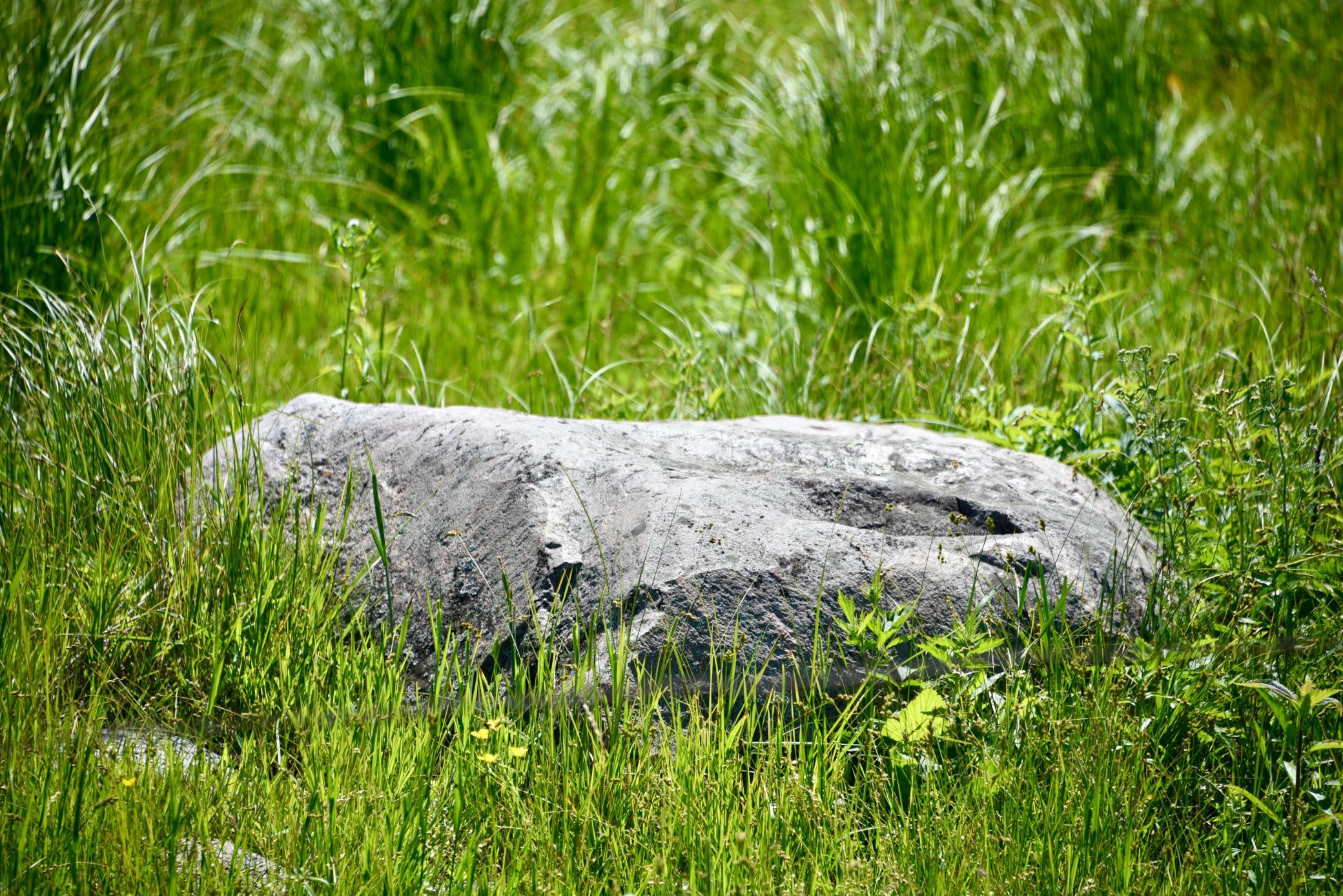 DSC_4035.JPG
