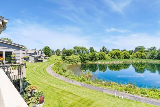 A nice view of the pond with nature and wildlife.