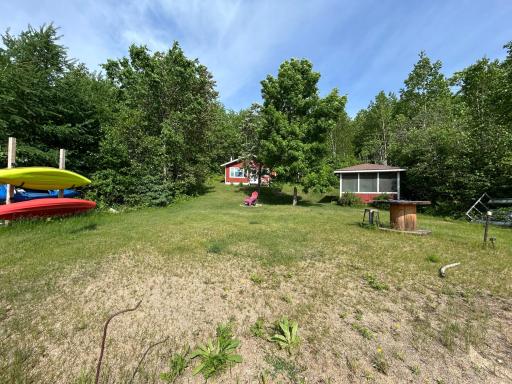 Front yard to Cabin