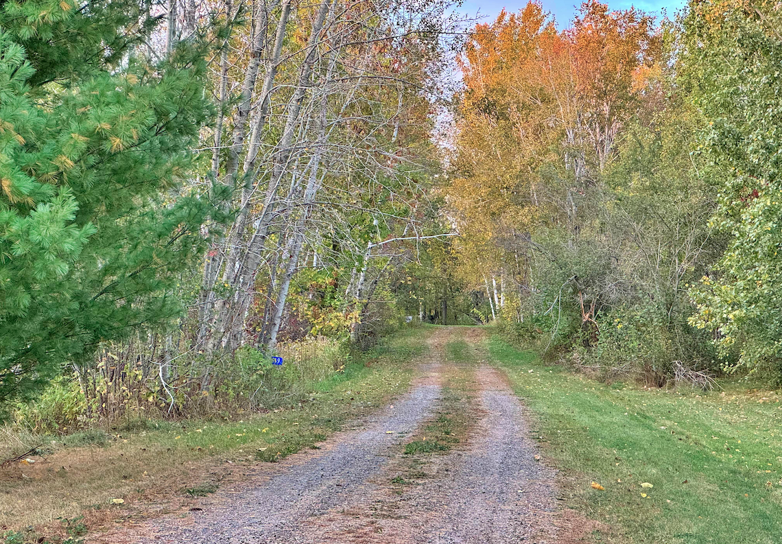 Tree lined road leading to property halfway down on the left