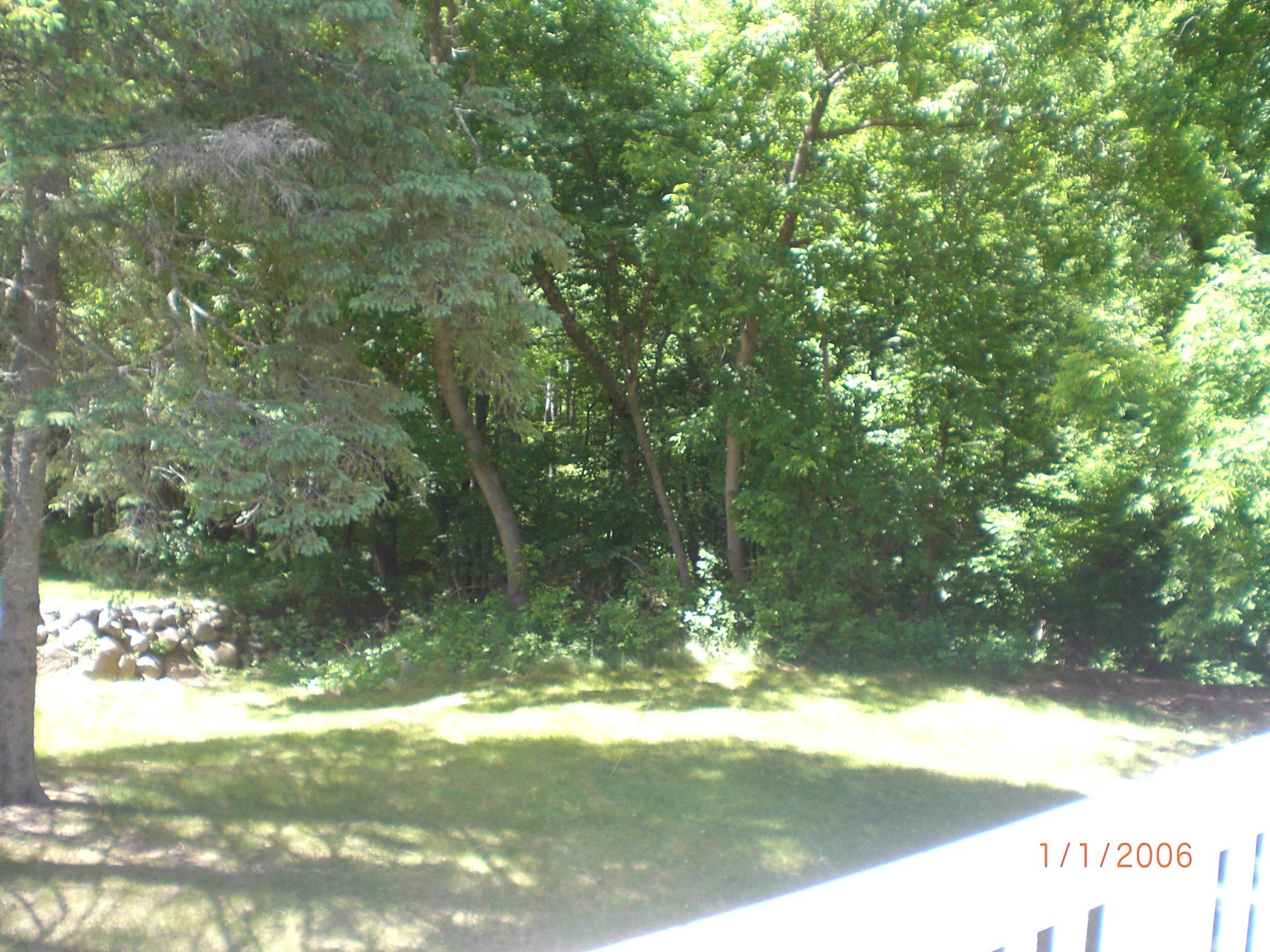 CIMG0002.JPG