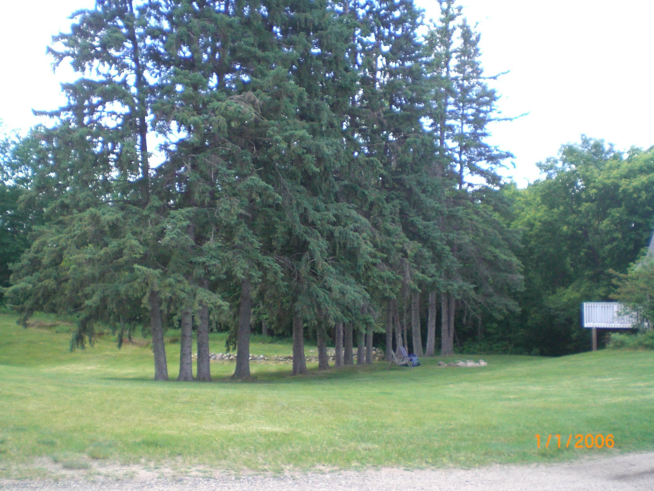 CIMG0010.JPG