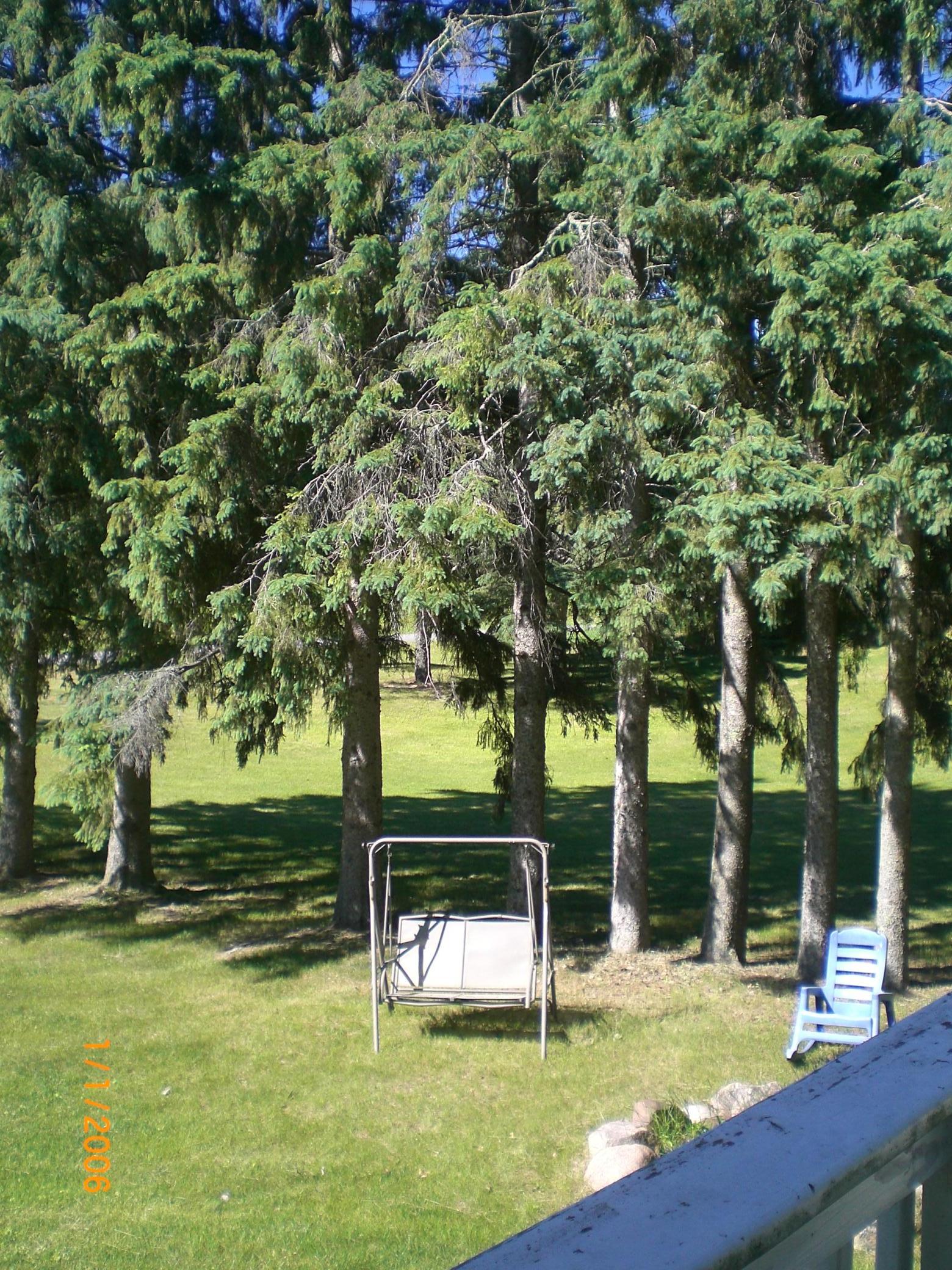 CIMG0104.JPG