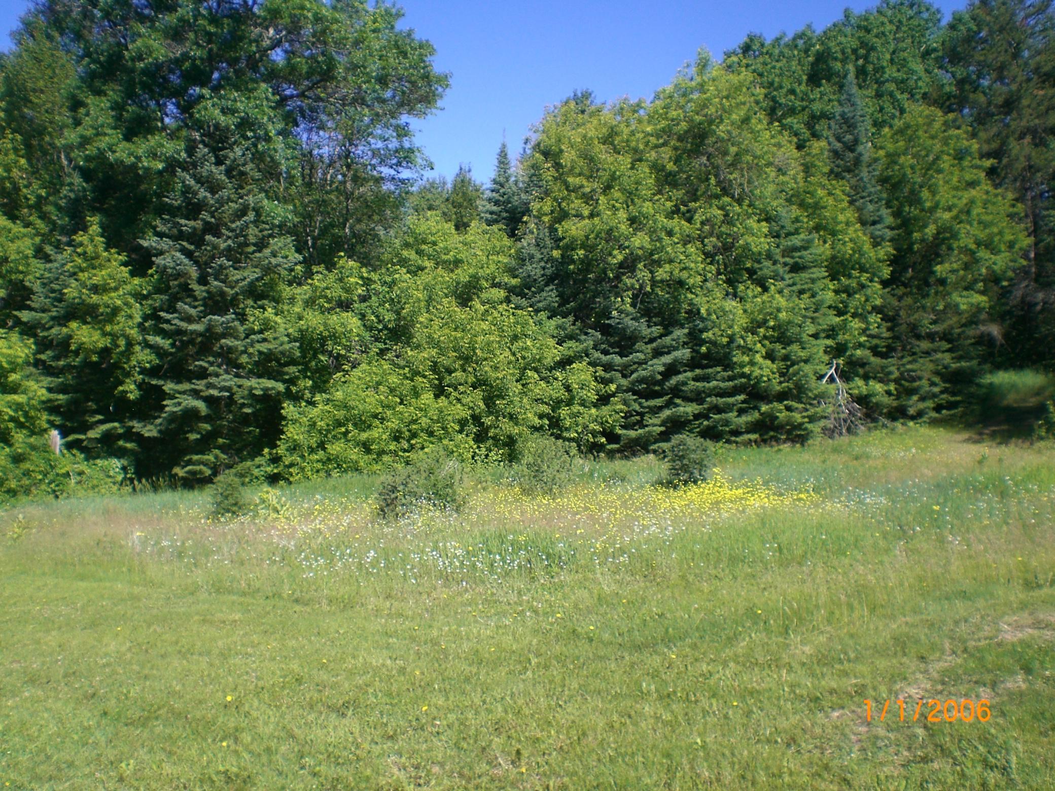 CIMG0117.JPG