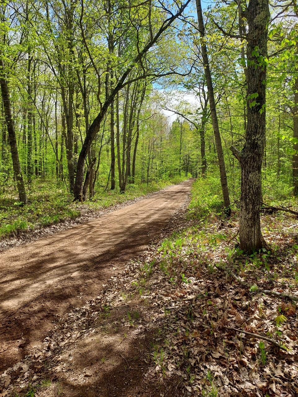 ATV/Snowmobile Trail1
