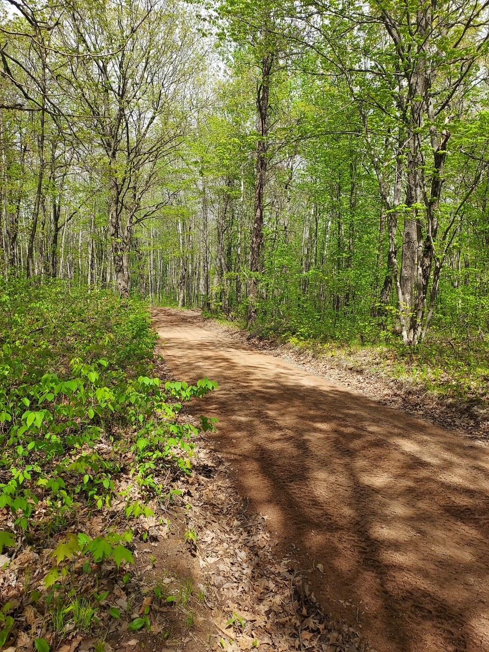 ATV/Snowmobile Trail3