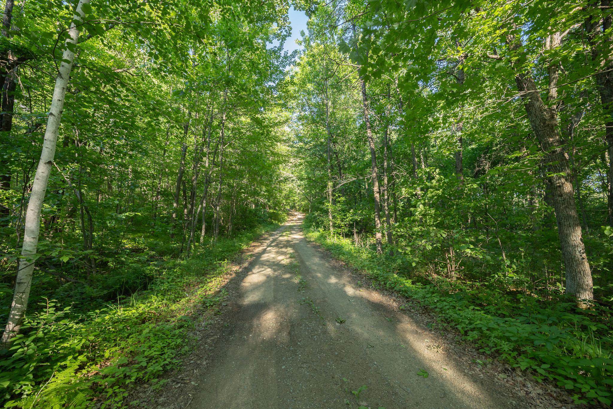 Nice road to the the lake property