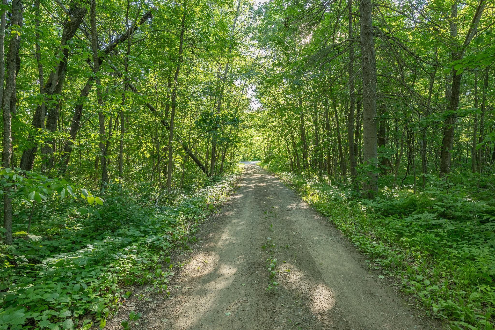 Additional road views