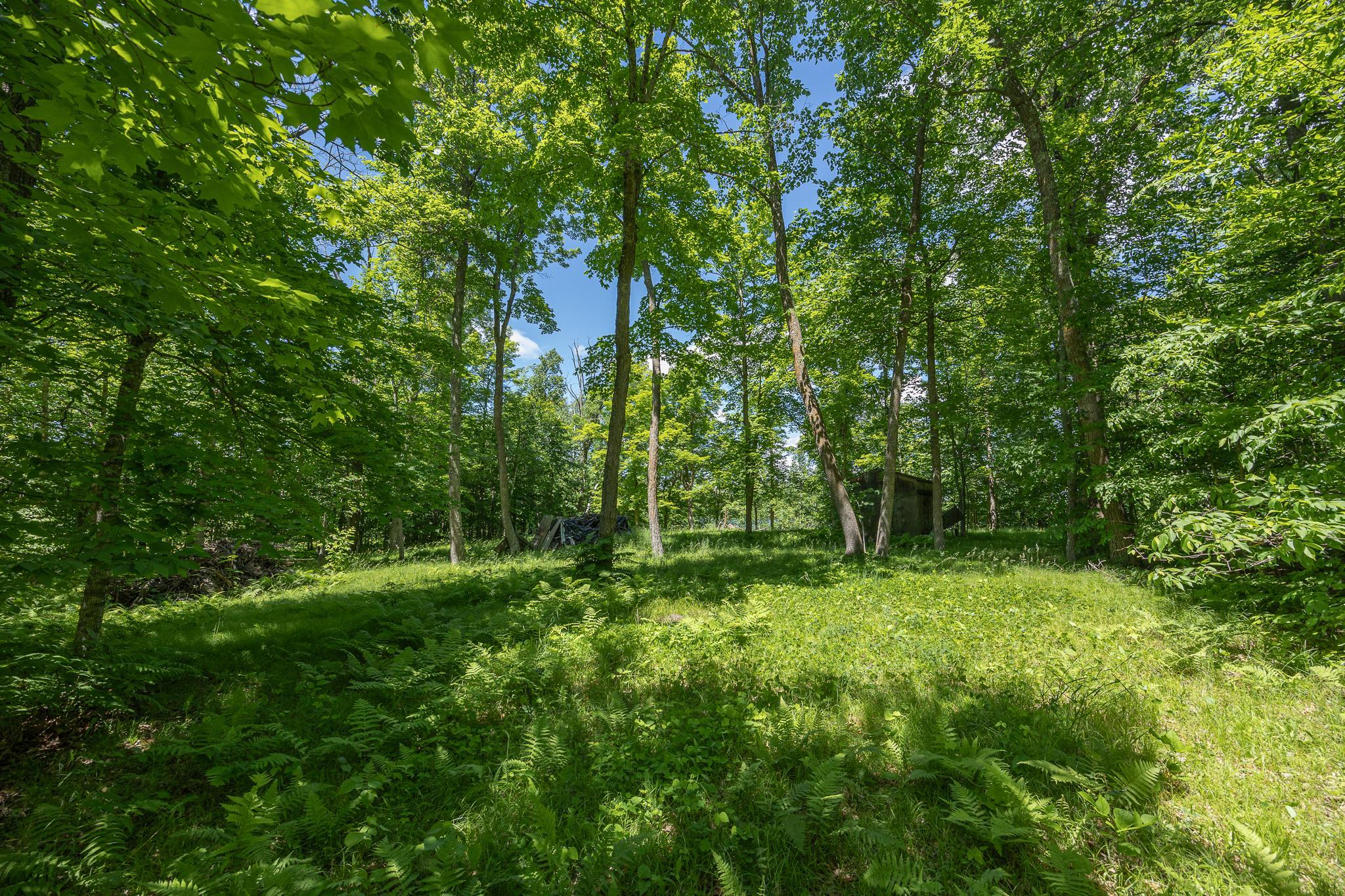 Nice level elevation near the lake