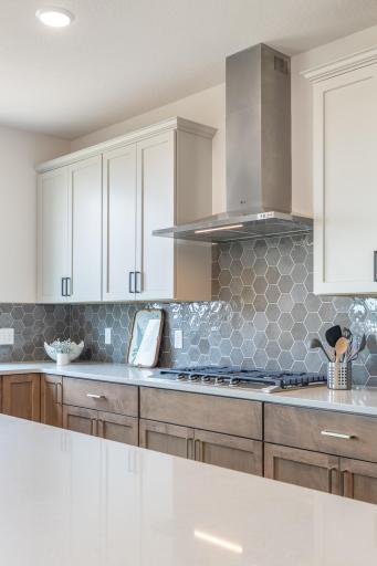 5036 Airlake Draw, Saint Paul, MN 55129