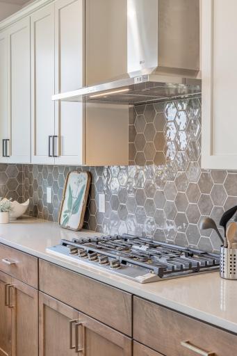 5036 Airlake Draw, Saint Paul, MN 55129