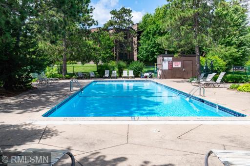 Exquisite in-ground swimming pool! How inviting is that!
