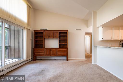 Handsome built-in along the west living room wall.