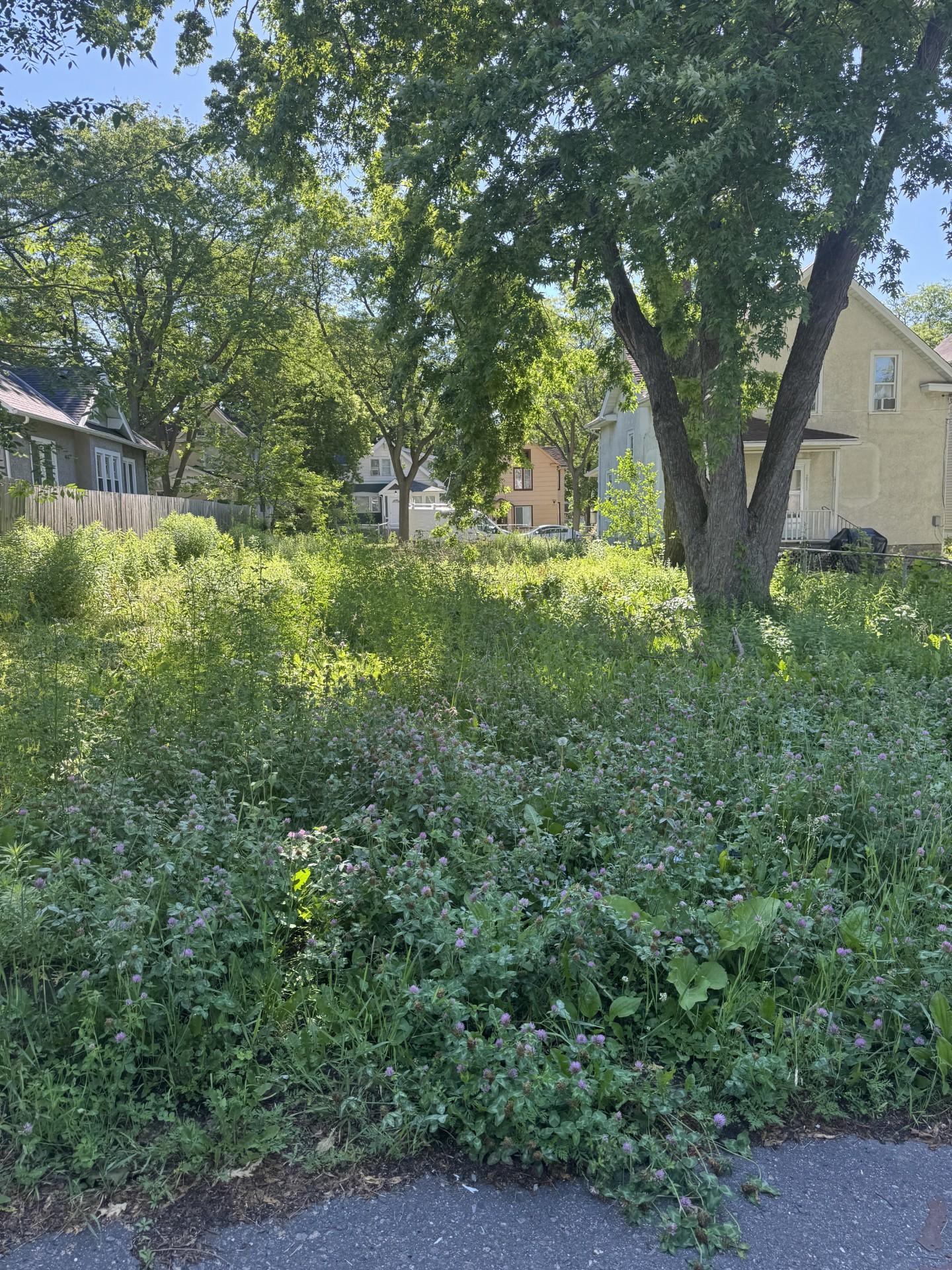 Property photo for 2915 Colfax Avenue N, Minneapolis, MN 55411