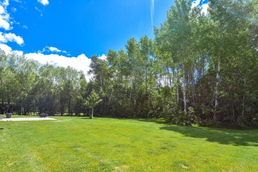 DSC_3488.jpg
