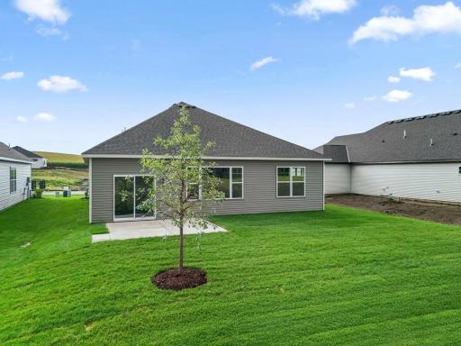 Backyard includes landscaping, irrigation system, and sod