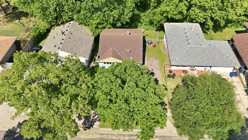 Healthy mature trees providing natural shade to enjoy the front yard.