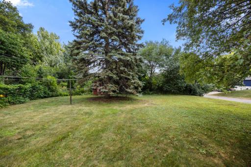 Beautiful mature trees throughout the property