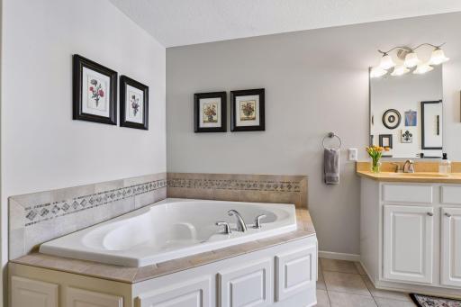 10837 S Shore Drive, Minneapolis, MN 55441