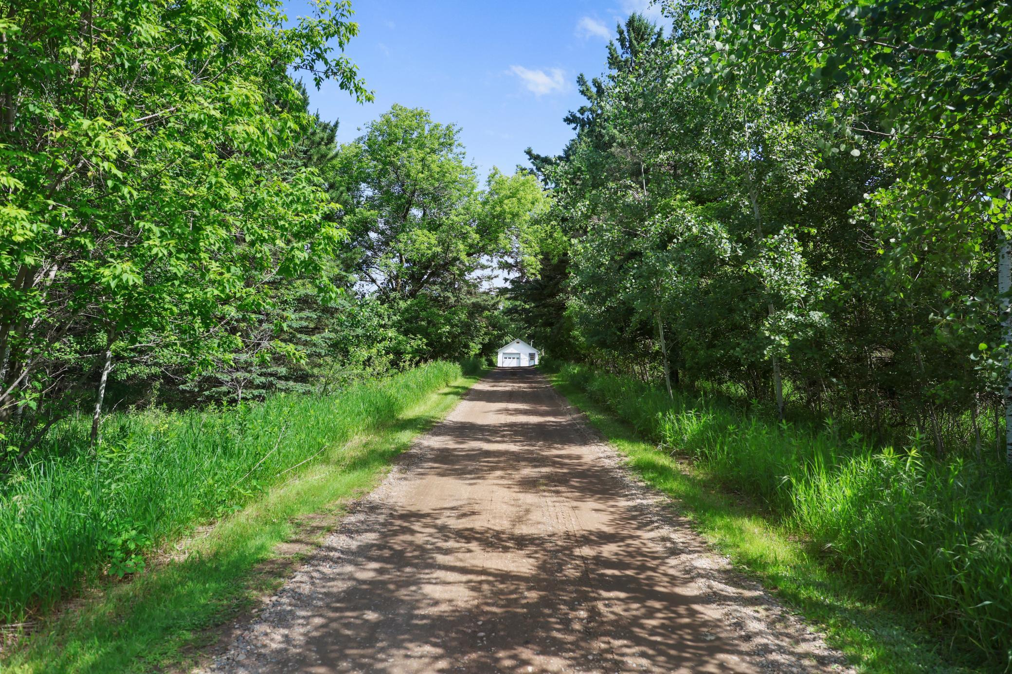 8E5A8165.JPG