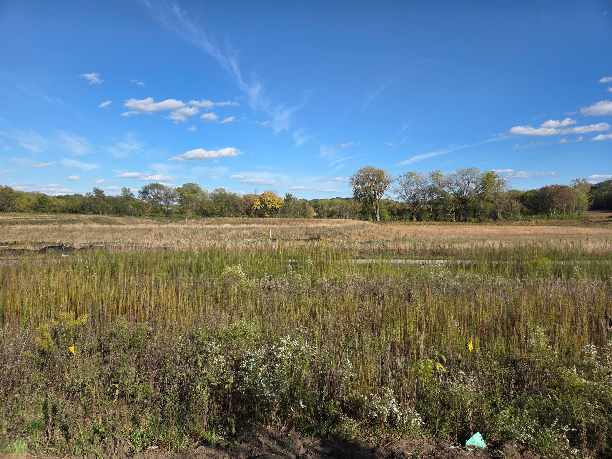 Amazing views of 7.5 acres of open space!!