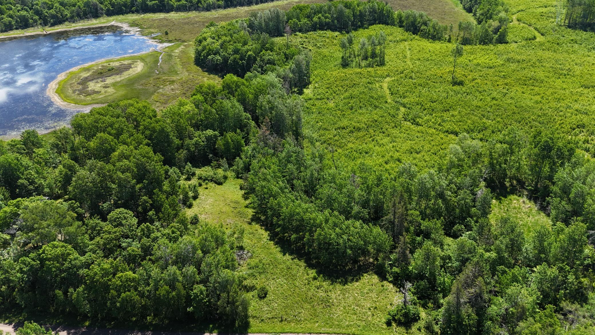 Wooded Acreage on Thorn Lake