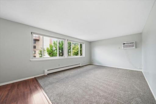 Large Living Room-New Carpet and Tons of Natural Light
