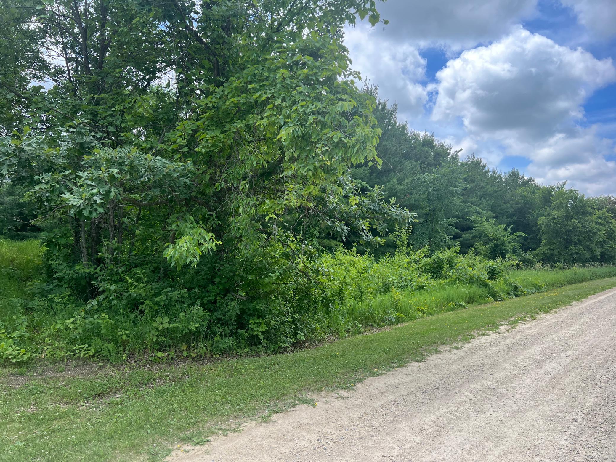 View from the ground of the frontage of the property