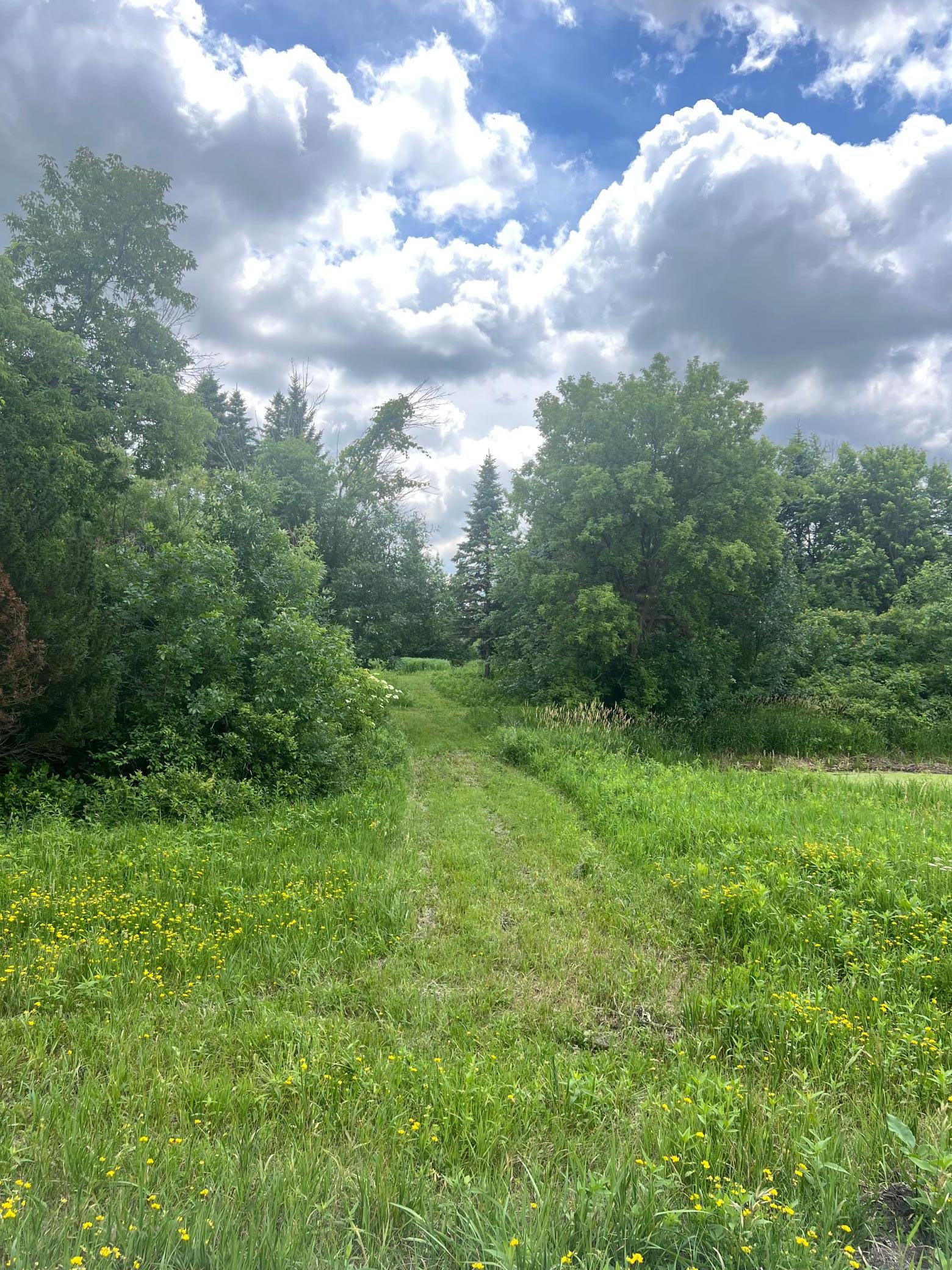 Drive to access the back of the property