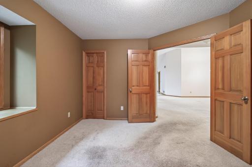 53_18137_Judicial50_mls.jpg lower level bdrm