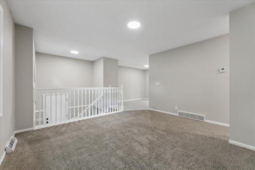 16-845 3rd St N, Dassel, MN 55325_16.jpg