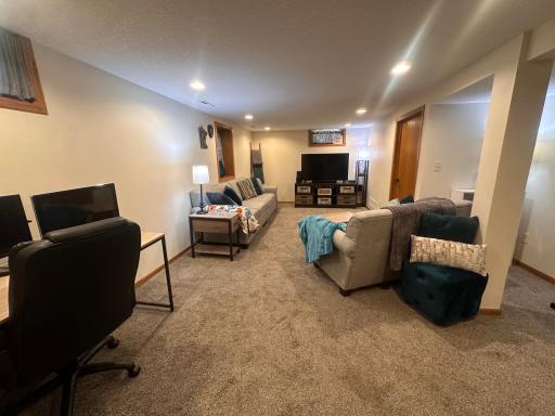 Basement Living 1