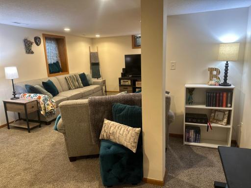 Basement Living 4