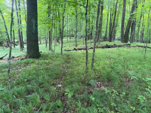 TBD West Bone Lake Dr, Milltown, WI 54858
