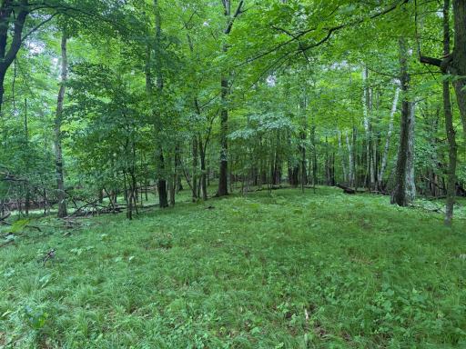 TBD West Bone Lake Dr, Milltown, WI 54858