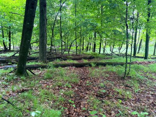 TBD West Bone Lake Dr, Milltown, WI 54858