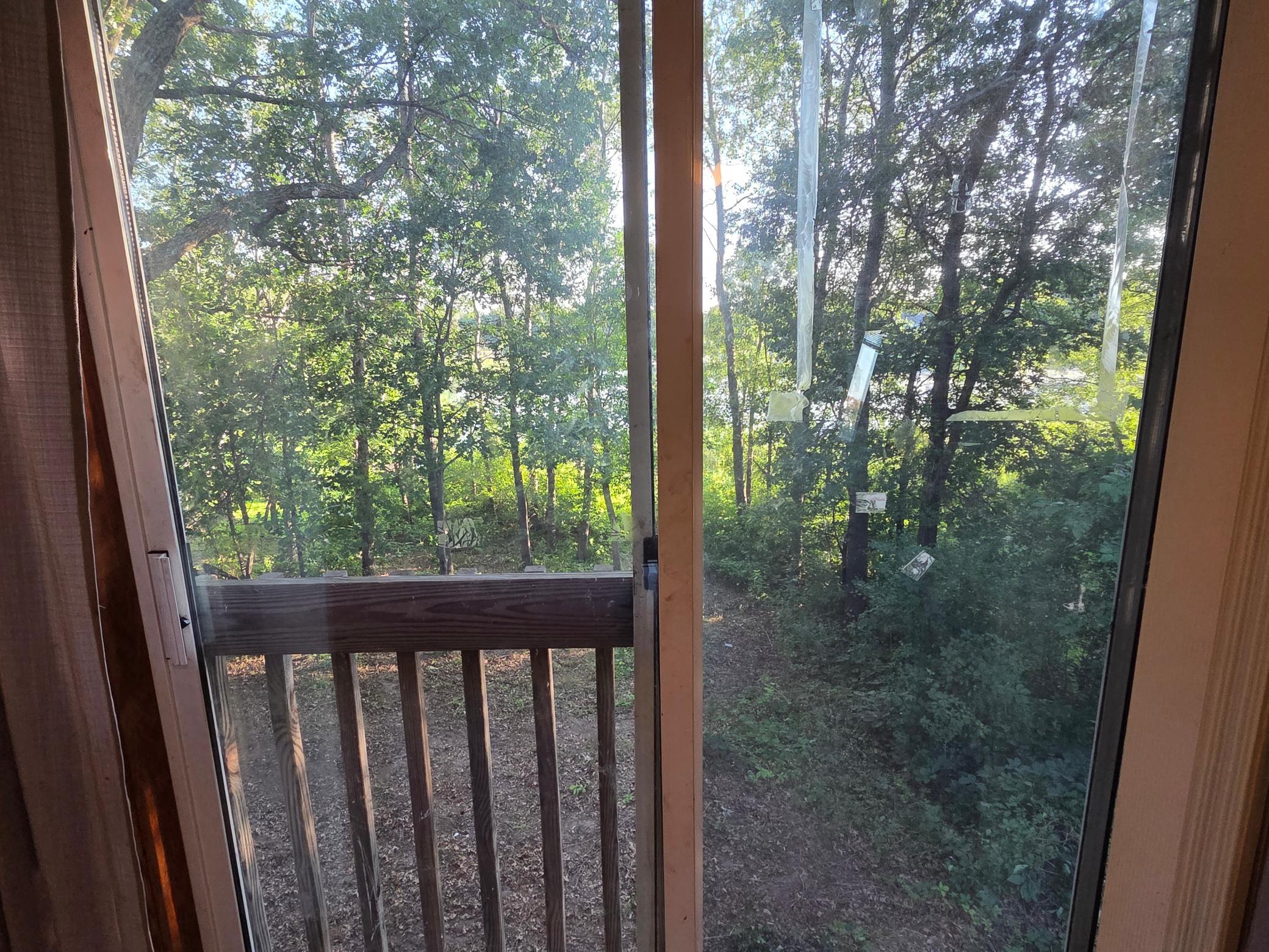 backyard.
