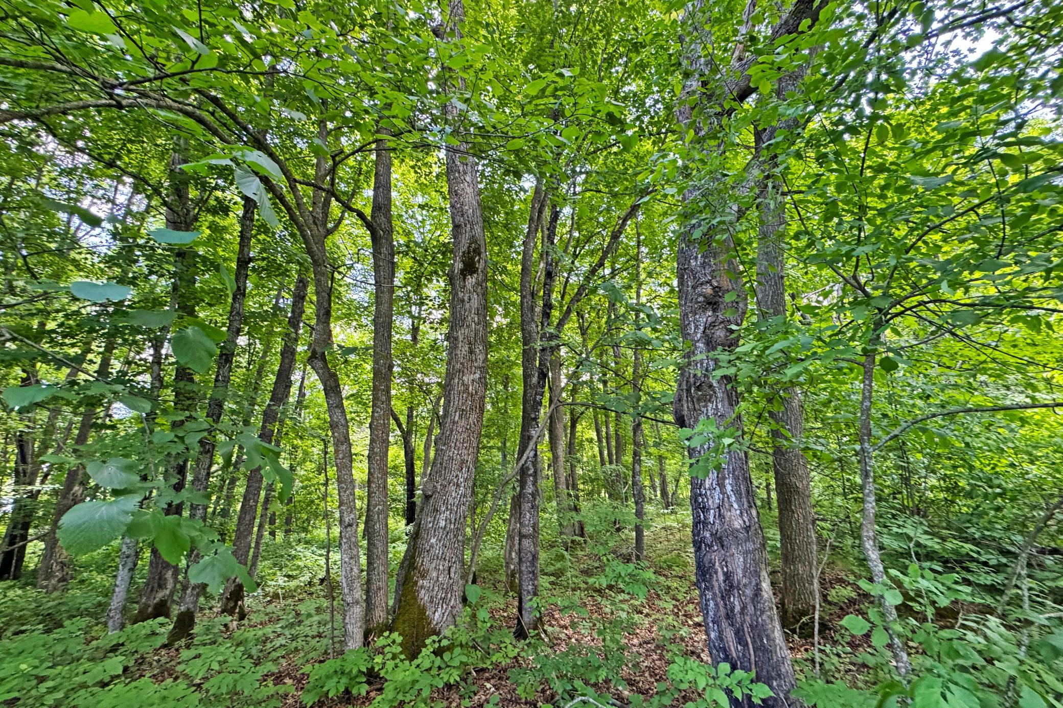 28-Perry-Lake-Land-17.JPG