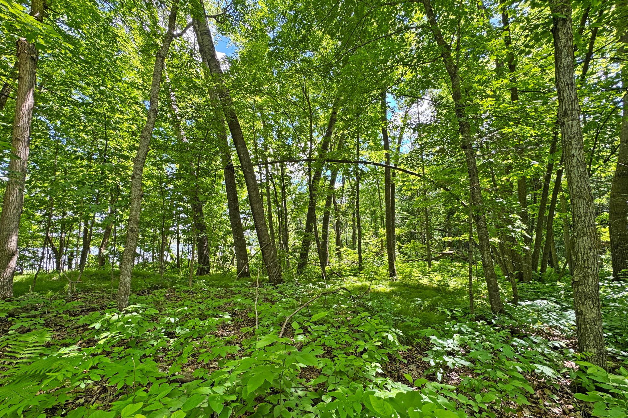 25-Perry-Lake-Land-14.JPG