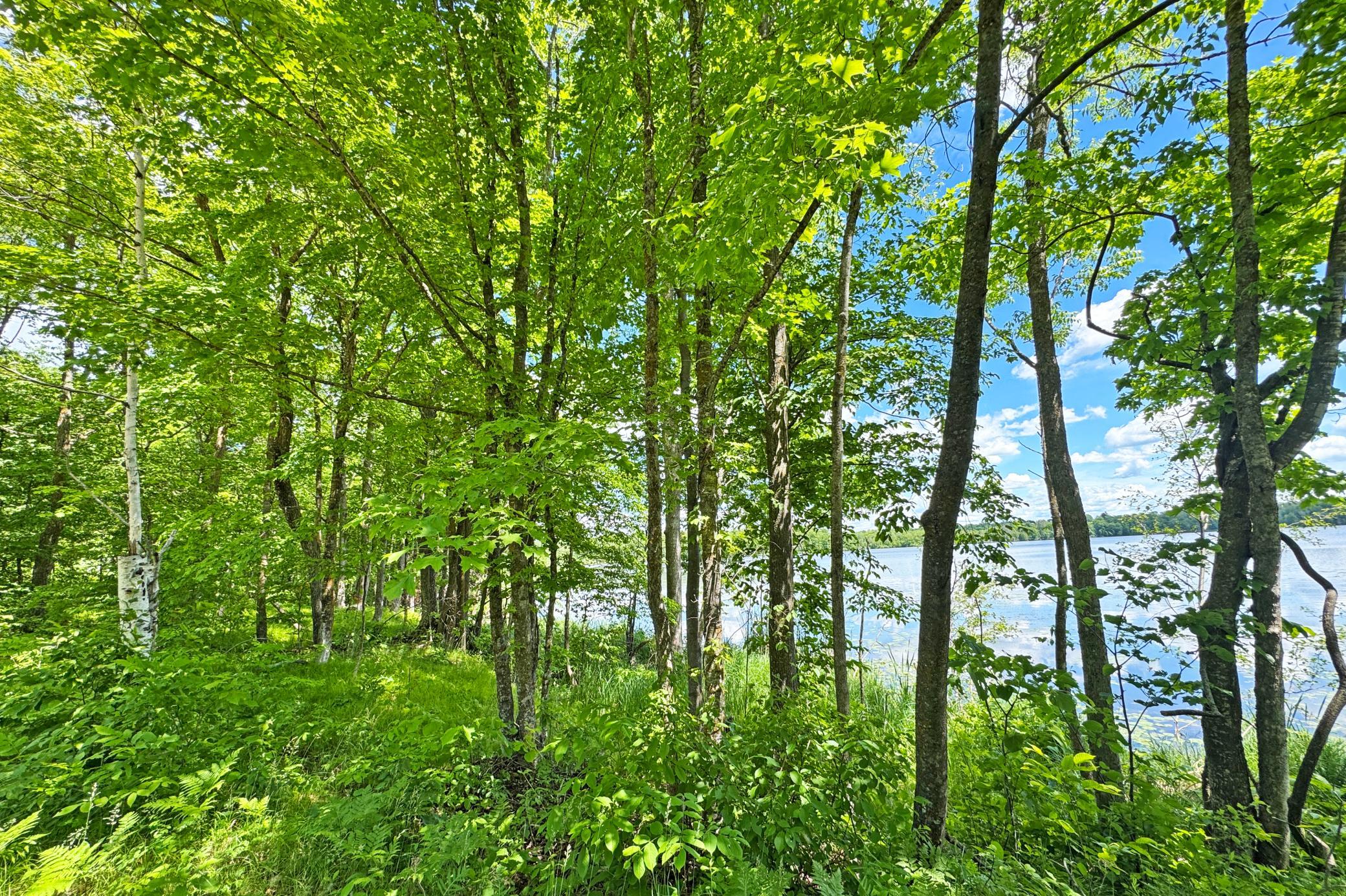 13-Perry-Lake-Land-02.JPG
