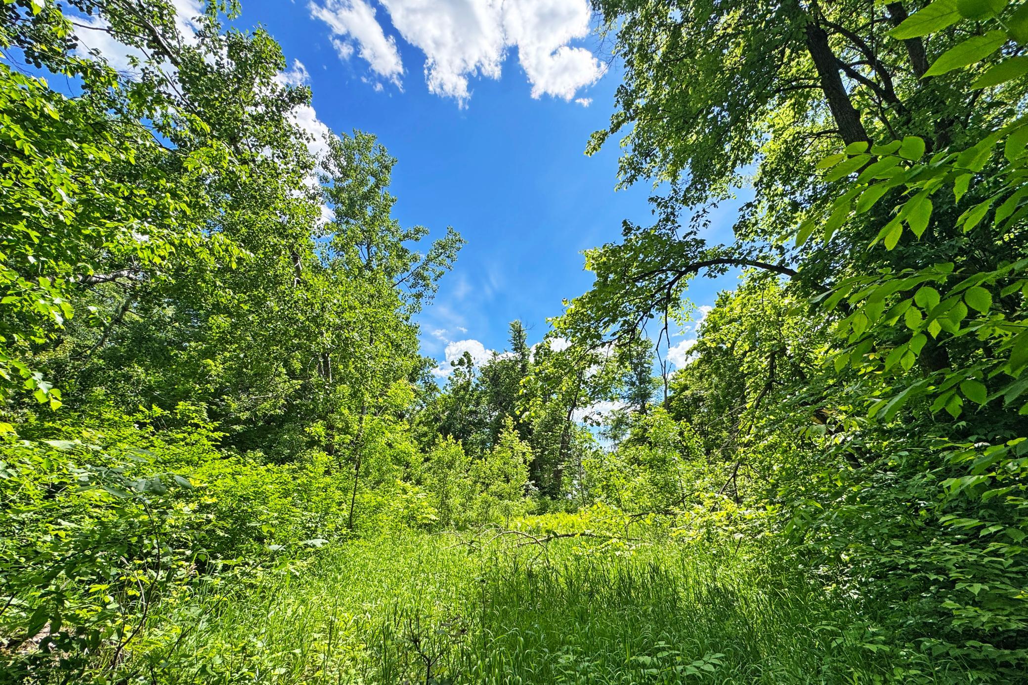 35-Perry-Lake-Land-24.JPG