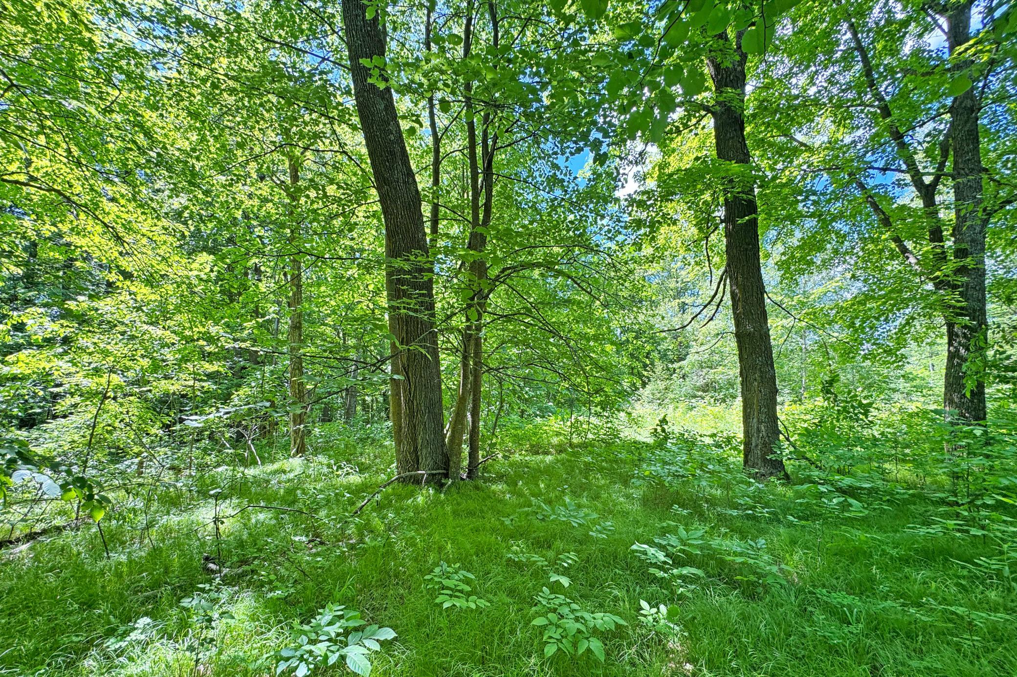 20-Perry-Lake-Land-09.JPG