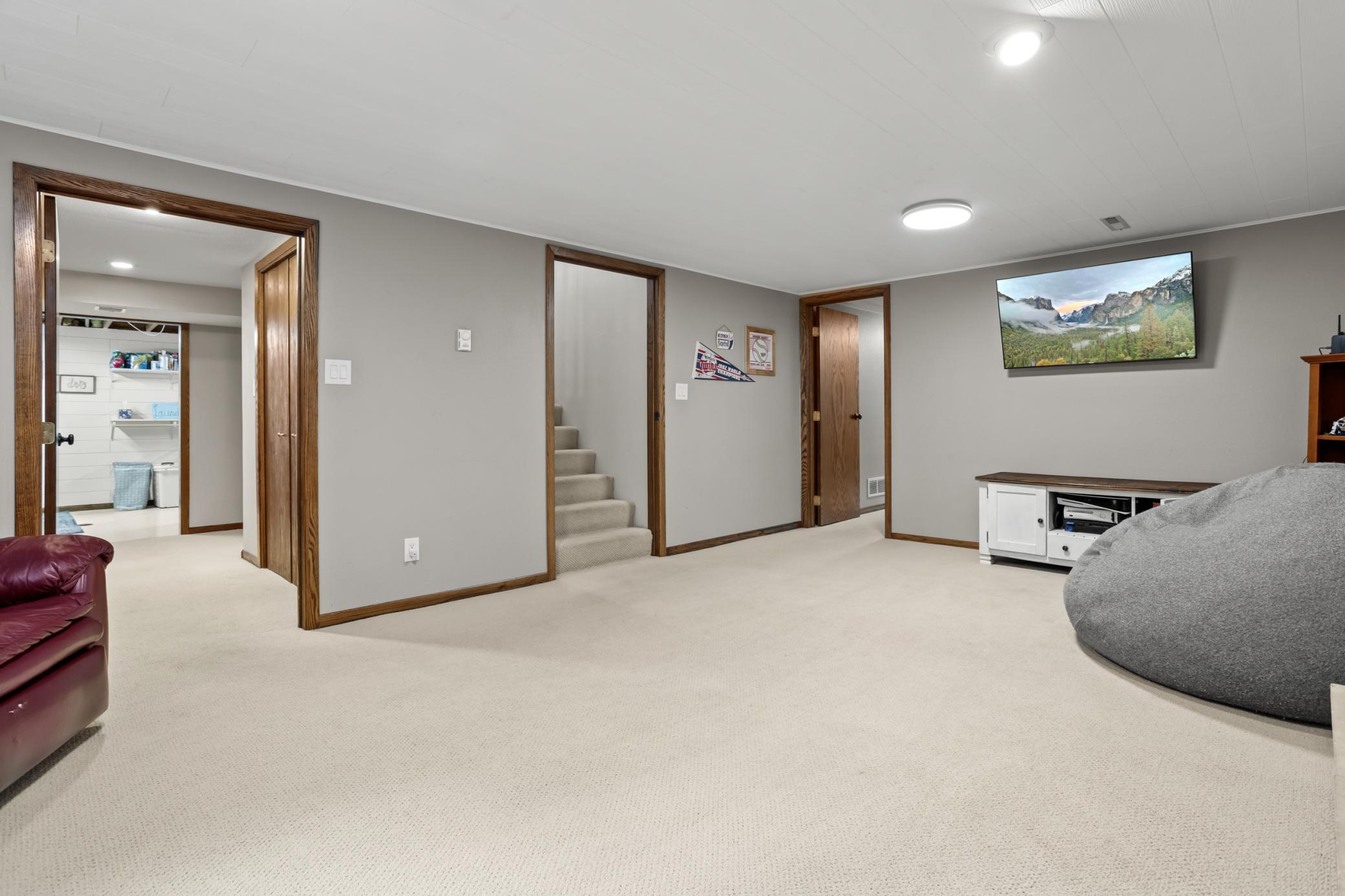 Basement Family Room
