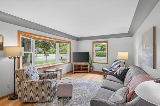 311 Sophia Avenue, Hamburg, MN 55339