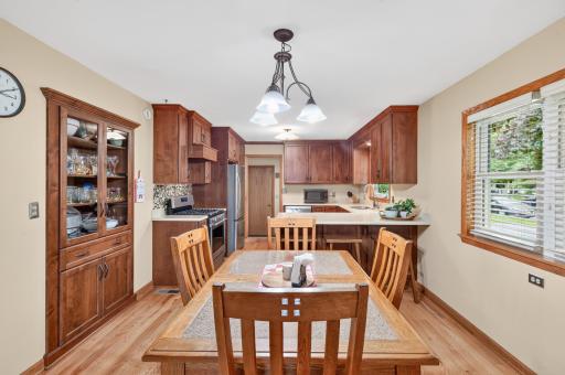 311 Sophia Avenue, Hamburg, MN 55339
