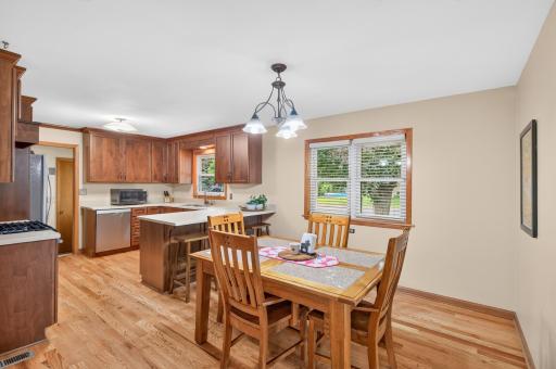 311 Sophia Avenue, Hamburg, MN 55339