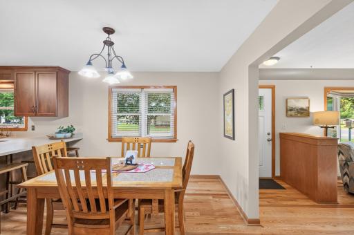 311 Sophia Avenue, Hamburg, MN 55339