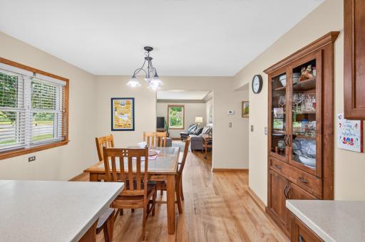 311 Sophia Avenue, Hamburg, MN 55339