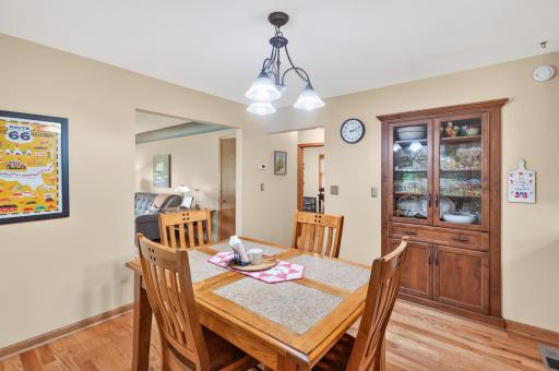 311 Sophia Avenue, Hamburg, MN 55339
